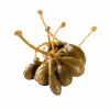 Alcaparrones