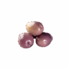 Aceituna Morada Marteña