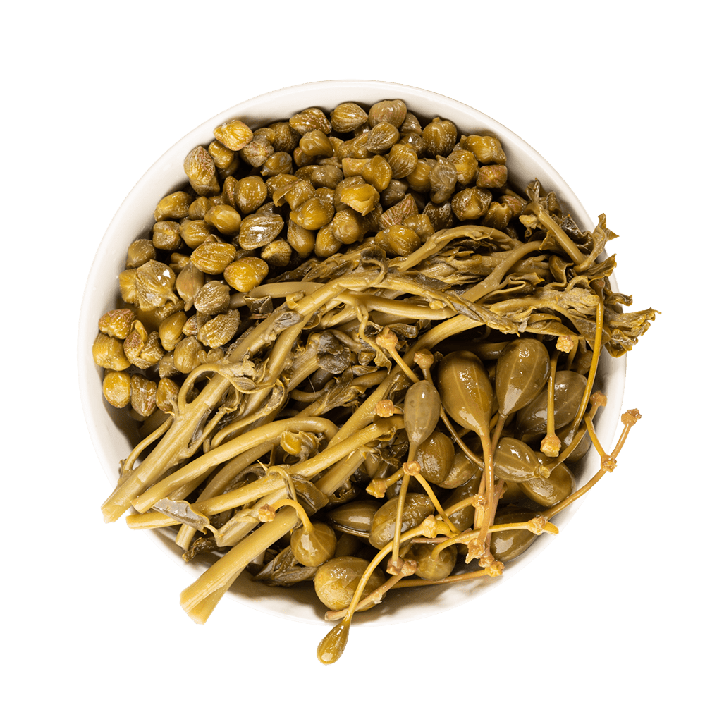 Tallos de alcaparra Tallos de alcaparra